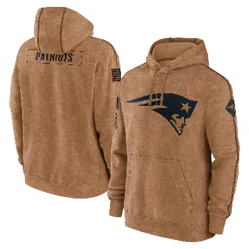 Men's Brown New England Patriots 2023 Salute to Service Club Pullover Hoodie